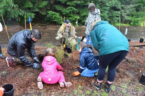 Bybee Lakes Victory Garden Planting Day with Friends of Trees, Nov. 1, 2025