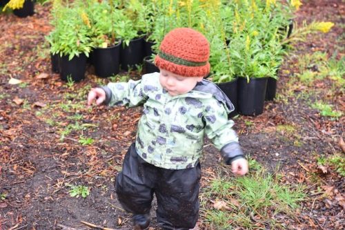 Bybee Lakes Victory Garden Planting Day with Friends of Trees, Nov. 1, 2025