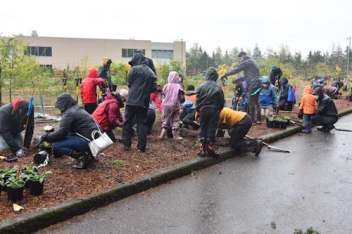 Bybee Lakes Victory Garden Planting Day with Friends of Trees, Nov. 1, 2025