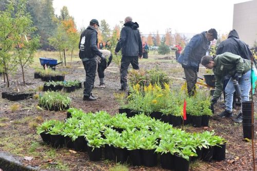 Bybee Lakes Victory Garden Planting Day with Friends of Trees, Nov. 1, 2025