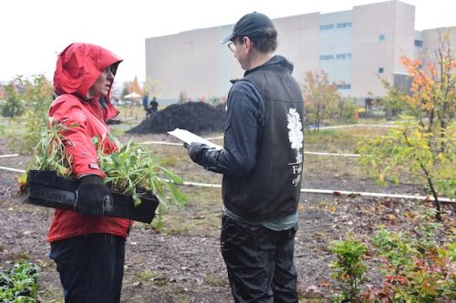 Bybee Lakes Victory Garden Planting Day with Friends of Trees, Nov. 1, 2025