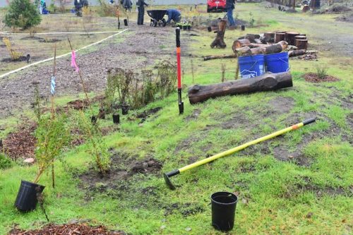 Bybee Lakes Victory Garden Planting Day with Friends of Trees, Nov. 1, 2025