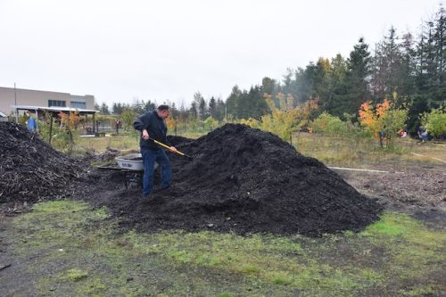 Bybee Lakes Victory Garden Planting Day with Friends of Trees, Nov. 1, 2025