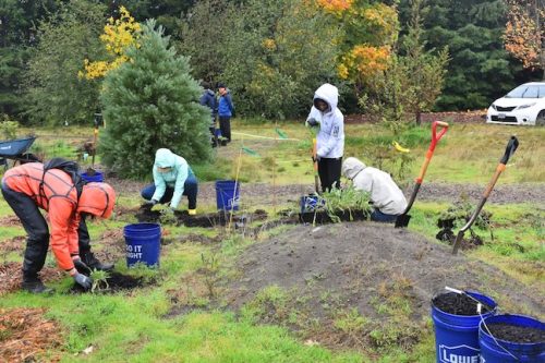 Bybee Lakes Victory Garden Planting Day with Friends of Trees, Nov. 1, 2025
