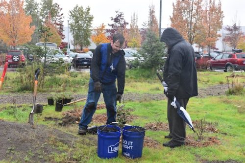 Bybee Lakes Victory Garden Planting Day with Friends of Trees, Nov. 1, 2025