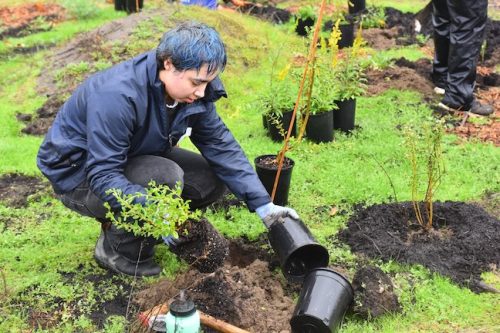 Bybee Lakes Victory Garden Planting Day with Friends of Trees, Nov. 1, 2025
