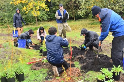 Bybee Lakes Victory Garden Planting Day with Friends of Trees, Nov. 1, 2025