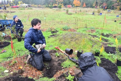 Bybee Lakes Victory Garden Planting Day with Friends of Trees, Nov. 1, 2025