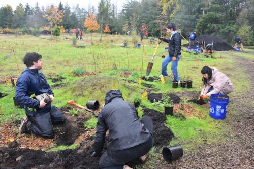 Bybee Lakes Victory Garden Planting Day with Friends of Trees, Nov. 1, 2025