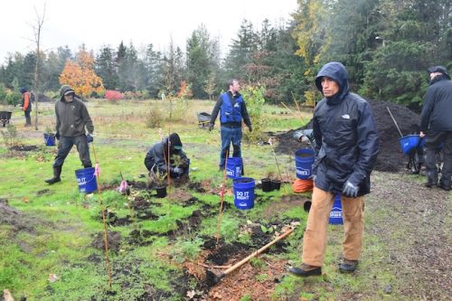 Bybee Lakes Victory Garden Planting Day with Friends of Trees, Nov. 1, 2025
