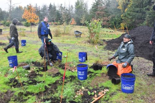 Bybee Lakes Victory Garden Planting Day with Friends of Trees, Nov. 1, 2025