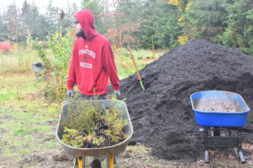 Bybee Lakes Victory Garden Planting Day with Friends of Trees, Nov. 1, 2025