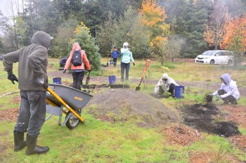 Bybee Lakes Victory Garden Planting Day with Friends of Trees, Nov. 1, 2025