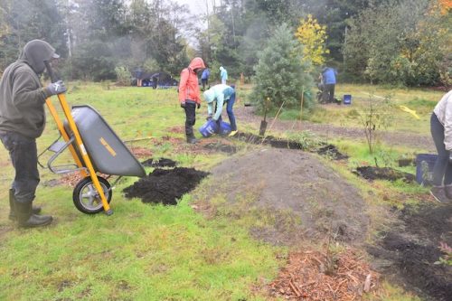 Bybee Lakes Victory Garden Planting Day with Friends of Trees, Nov. 1, 2025