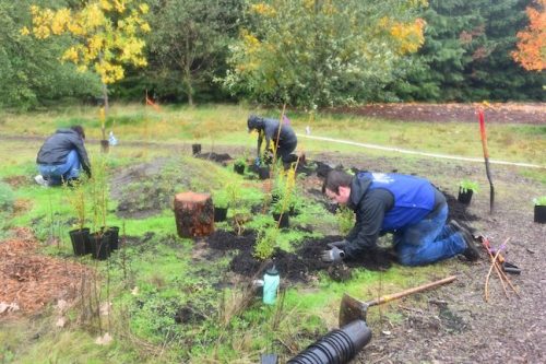 Bybee Lakes Victory Garden Planting Day with Friends of Trees, Nov. 1, 2025