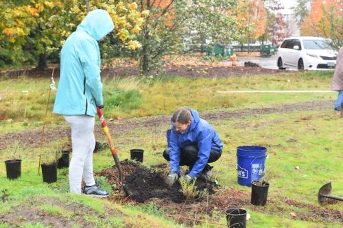 Bybee Lakes Victory Garden Planting Day with Friends of Trees, Nov. 1, 2025