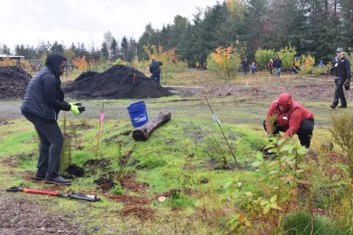 Bybee Lakes Victory Garden Planting Day with Friends of Trees, Nov. 1, 2025