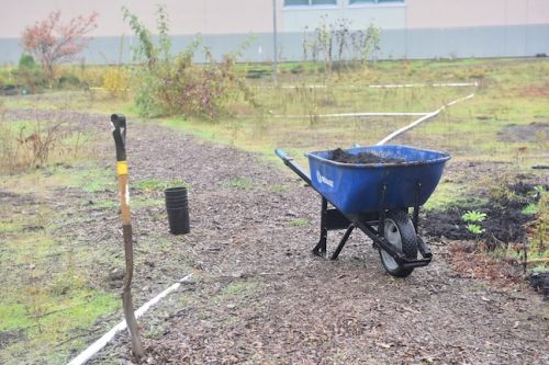 Bybee Lakes Victory Garden Planting Day with Friends of Trees, Nov. 1, 2025