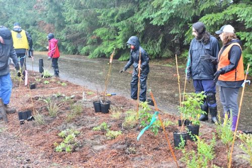 Bybee Lakes Victory Garden Planting Day with Friends of Trees, Nov. 1, 2025