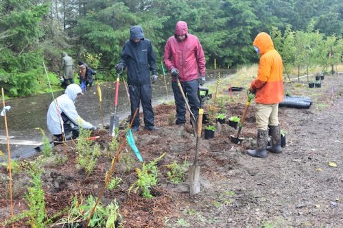 Bybee Lakes Victory Garden Planting Day with Friends of Trees, Nov. 1, 2025