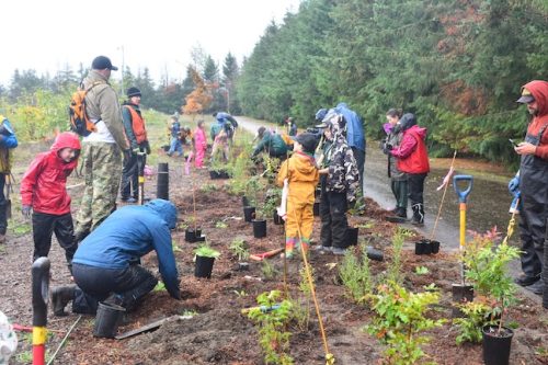 Bybee Lakes Victory Garden Planting Day with Friends of Trees, Nov. 1, 2025