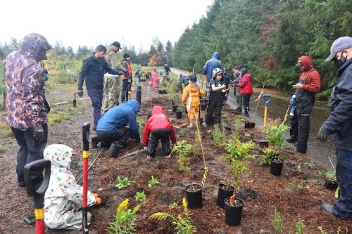 Bybee Lakes Victory Garden Planting Day with Friends of Trees, Nov. 1, 2025