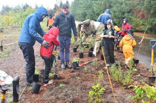 Bybee Lakes Victory Garden Planting Day with Friends of Trees, Nov. 1, 2025