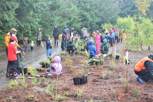 Bybee Lakes Victory Garden Planting Day with Friends of Trees, Nov. 1, 2025