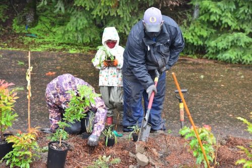 Bybee Lakes Victory Garden Planting Day with Friends of Trees, Nov. 1, 2025