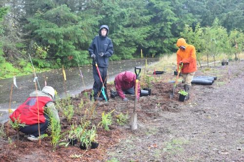 Bybee Lakes Victory Garden Planting Day with Friends of Trees, Nov. 1, 2025