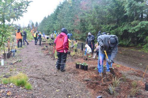 Bybee Lakes Victory Garden Planting Day with Friends of Trees, Nov. 1, 2025