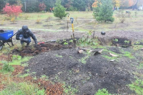 Bybee Lakes Victory Garden Planting Day with Friends of Trees, Nov. 1, 2025