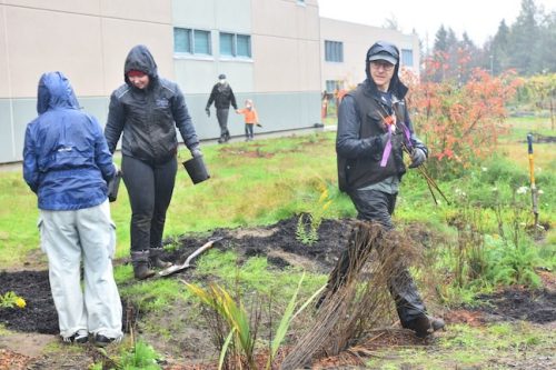 Bybee Lakes Victory Garden Planting Day with Friends of Trees, Nov. 1, 2025