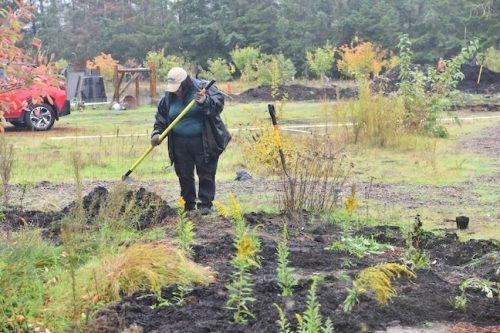 Bybee Lakes Victory Garden Planting Day with Friends of Trees, Nov. 1, 2025