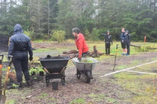 Bybee Lakes Victory Garden Planting Day with Friends of Trees, Nov. 1, 2025