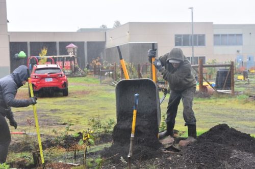 Bybee Lakes Victory Garden Planting Day with Friends of Trees, Nov. 1, 2025