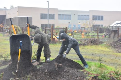 Bybee Lakes Victory Garden Planting Day with Friends of Trees, Nov. 1, 2025