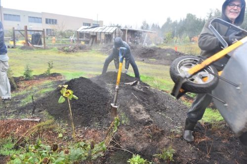 Bybee Lakes Victory Garden Planting Day with Friends of Trees, Nov. 1, 2025