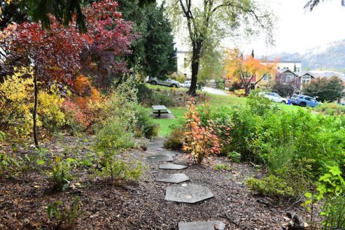 November Followup - Cathedral Park Planting April 2025
