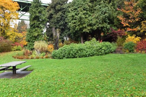 November Followup - Cathedral Park Planting April 2025