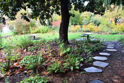 November Followup - Cathedral Park Planting April 2025