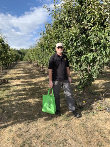 2026 Pear Harvest at Hrabal Victory Garden