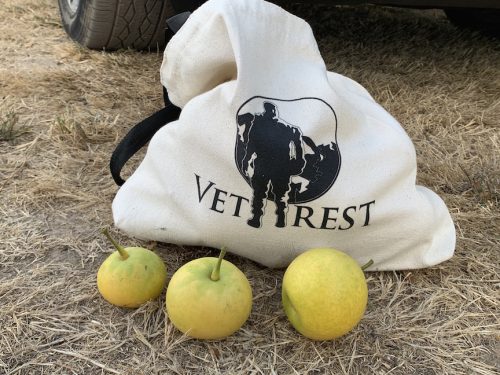 2026 Pear Harvest at Hrabal Victory Garden