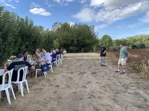 2026 Pear Harvest at Hrabal Victory Garden