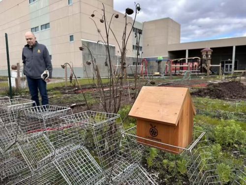 Bybee Lakes Victory Garden Mason Bee workshop, March 2026