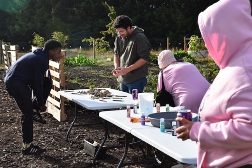 2025 October Harvest Fest - October 18 - Bybee Lakes Victory Garden - rock painting