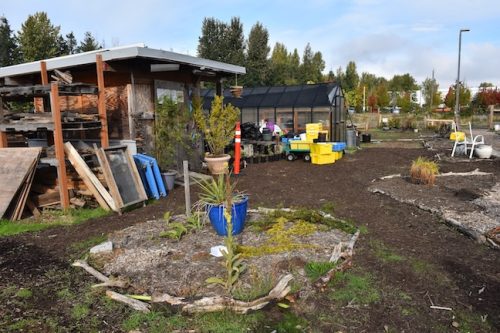 2025 October Harvest Fest - October 18 - Bybee Lakes Victory Garden
