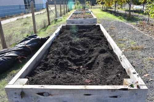 2025 October Harvest Fest - October 18 - Bybee Lakes Victory Garden