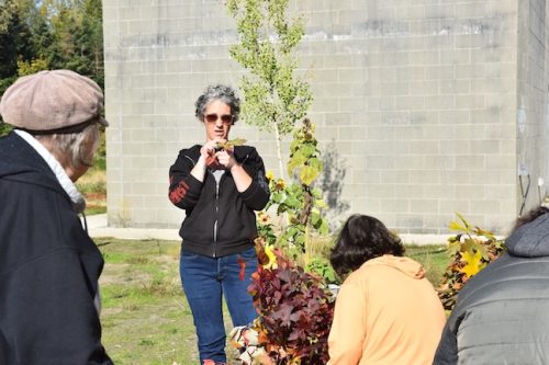 2025 October Harvest Fest - October 18 - Bybee Lakes Victory Garden - making autumn ornaments