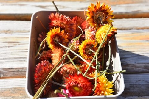 2025 October Harvest Fest - October 18 - Bybee Lakes Victory Garden - making autumn ornaments